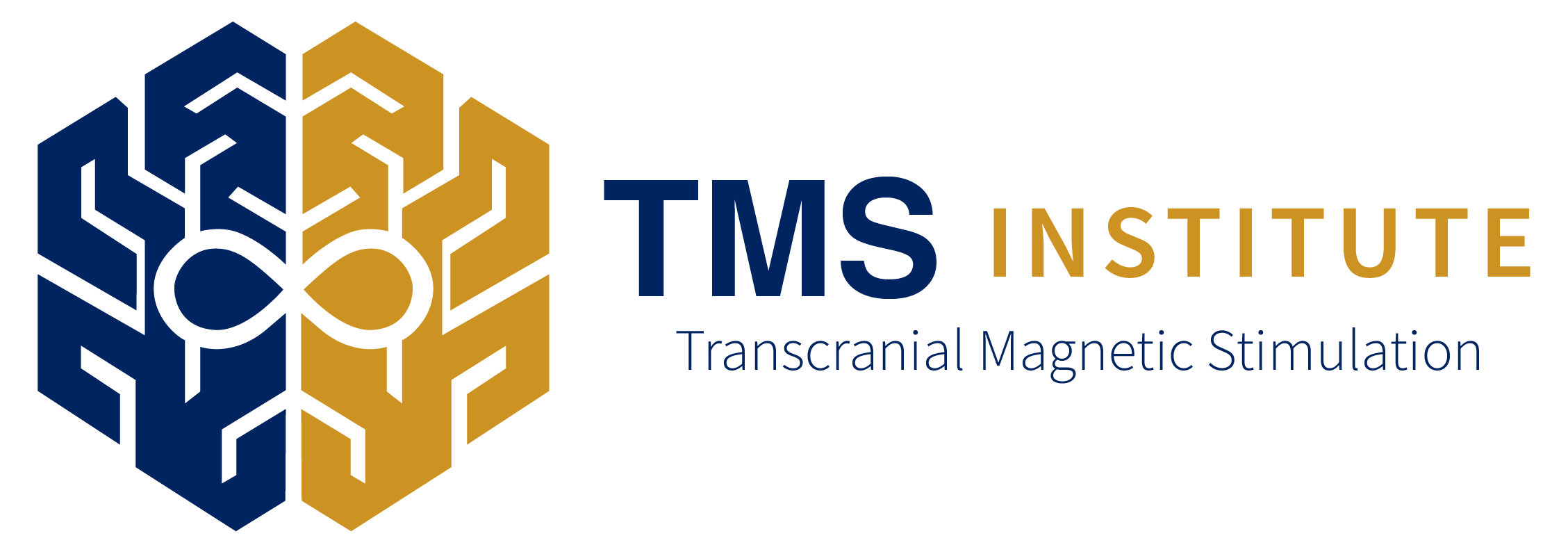 TMS Institute